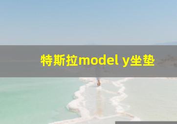 特斯拉model y坐垫